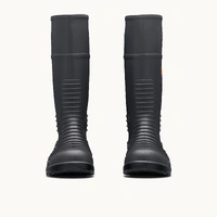 Blundstone Gumboot Series #024