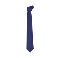 MENS SPOT TIE