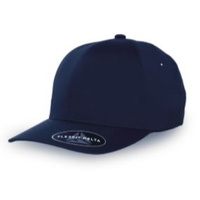 FLEXFIT DELTA FITTED